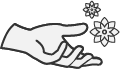 hands